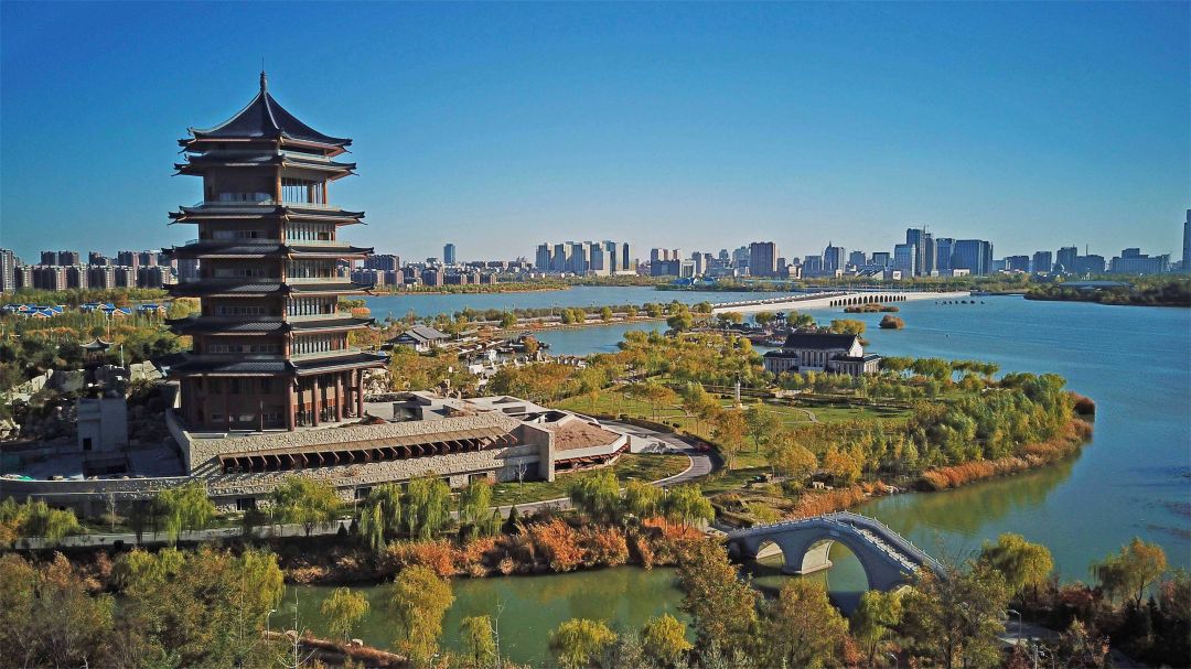 City Of The Week: 4 Aktivitas di Ningxia-Image-1