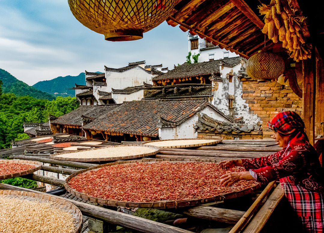 Kota Wuyuan dan Jinggangshan Diakui Sebagai Wisata Utama Pertanian-Image-1