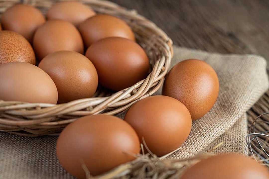 Belajar Mandarin: 10 Jenis Telur Hewan-Image-1