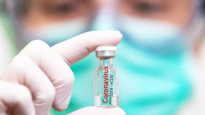 Vaksin COVID-19 dari Sel Serangga Akan Diuji ke Manusia-Image-1