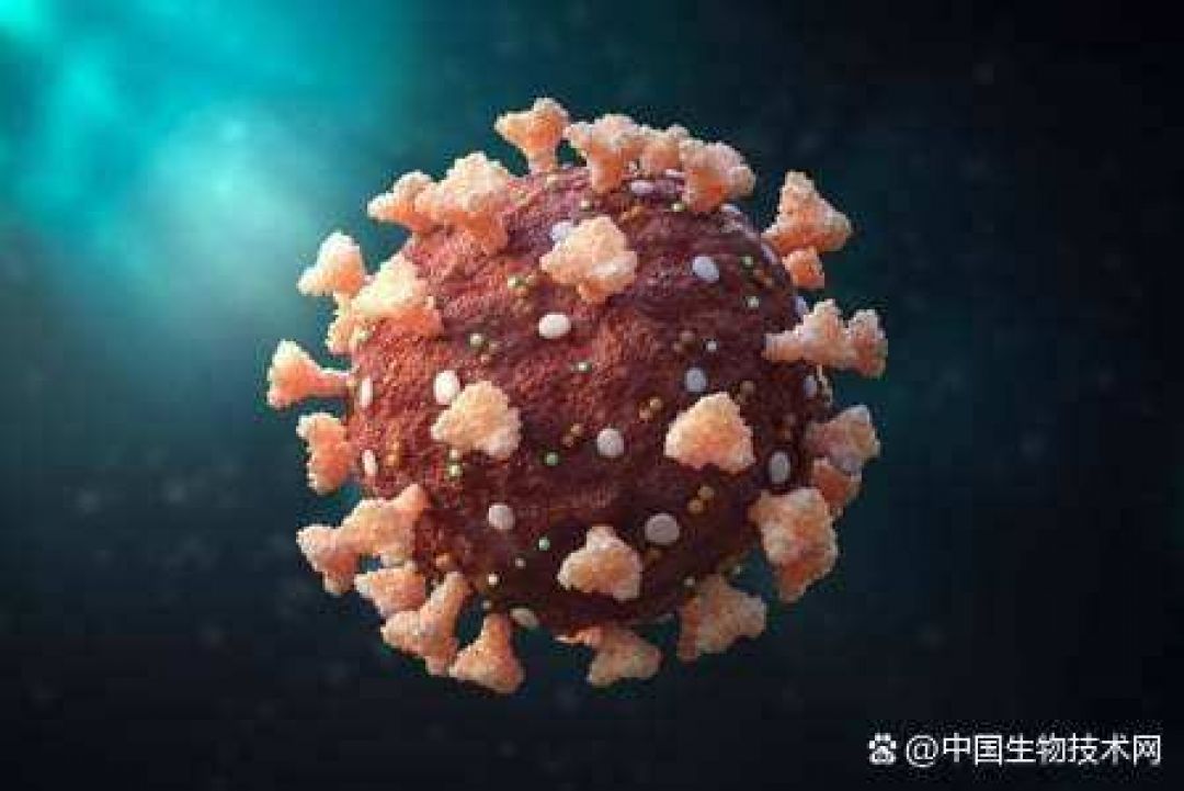 Ilmuwan China Peringatkan Penularan Virus Baru NeoCov-Image-1