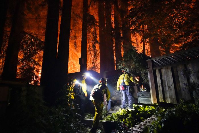 Kebakaran Hutan California Hanguskan Sejuta Hektar Lahan-Image-1