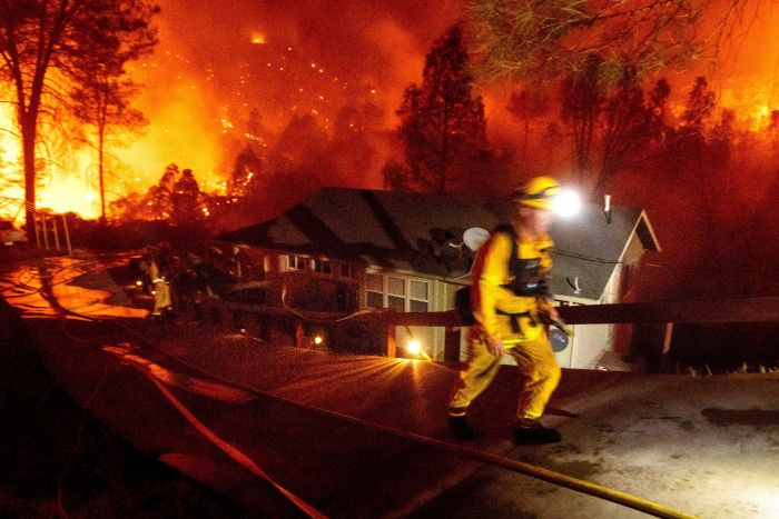 Kebakaran Hutan di California Hanguskan 500 Rumah-Image-2