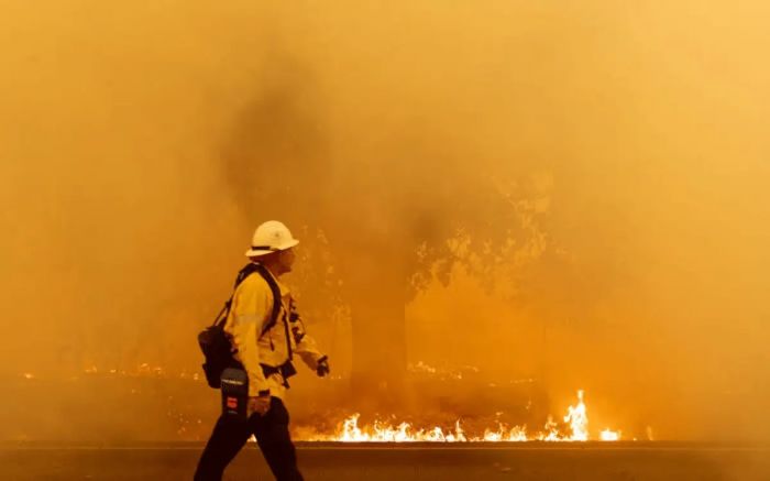 Kebakaran Hutan di California Hanguskan 500 Rumah-Image-1