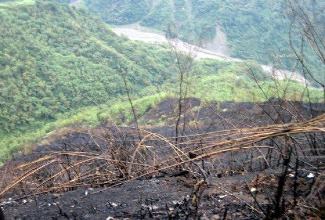 Kebakaran Hutan di Taiwan Menghanguskan 1 Hektar Lahan-Image-1