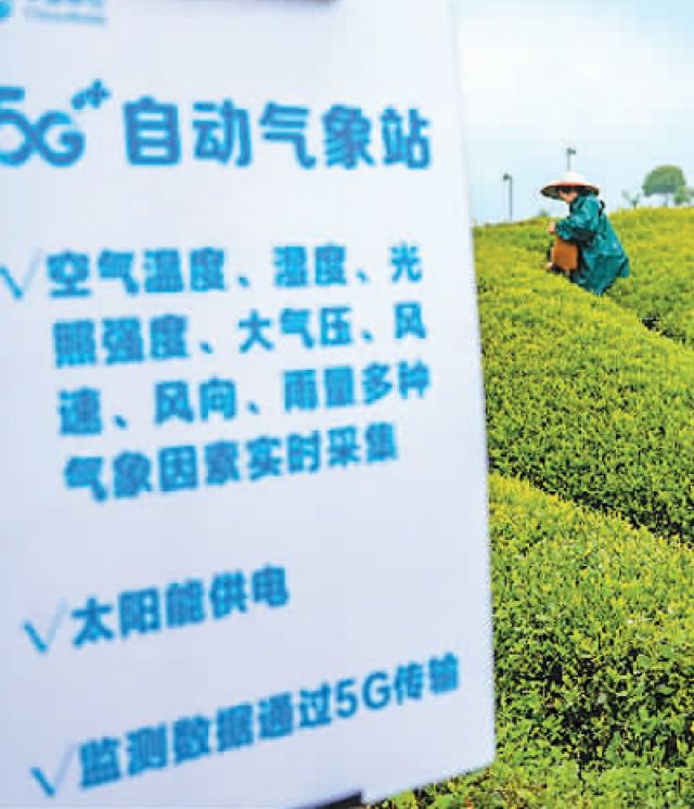Keren! Kebun Teh Digital Pertama Hadir di Zhejiang-Image-2