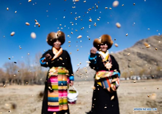 POTRET: Masyarakat Rayakan Upacara Pembajakan Musim Semi di Tibet-Image-5