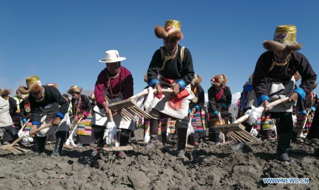 POTRET: Masyarakat Rayakan Upacara Pembajakan Musim Semi di Tibet-Image-1