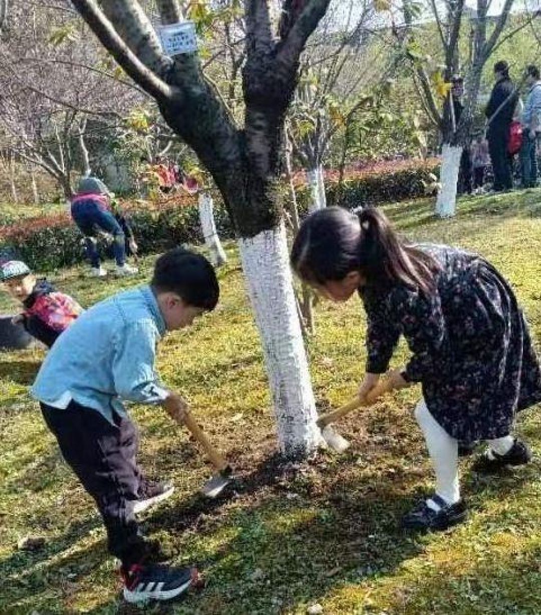 Adopsi Pohon, Gaya China Cintai Lingkungan Hidup-Image-2