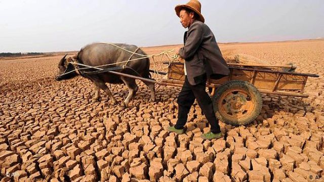 Lebih dari 475.333 Hektar Lahan Subur Di China Terkena Dampak Kekeringan-Image-1