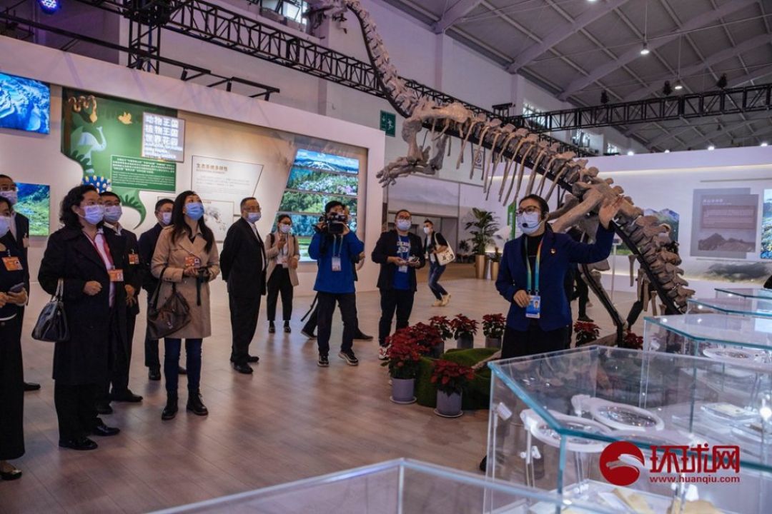 China Resmikan Pameran Kerangka Dinosaurus 3D di Kunming-Image-1