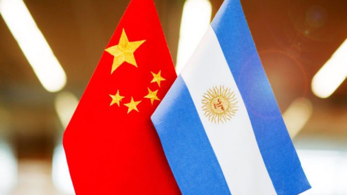 Xi Jinping: China Siap Bermitra dengan Argentina Bangun Kesehatan Global-Image-1