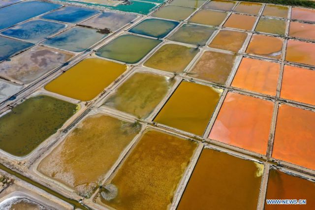 POTRET : Ladang Garam di Shandong-Image-5