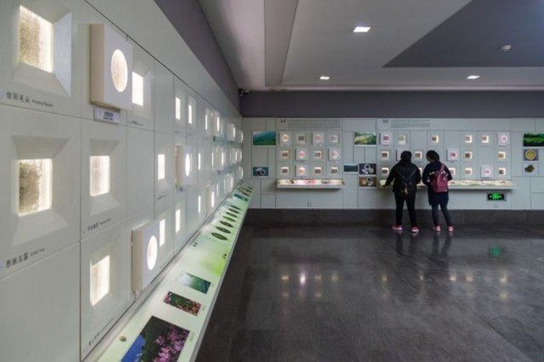 Rekomendasi 5 Museum Terbaik di Hangzhou-Image-7