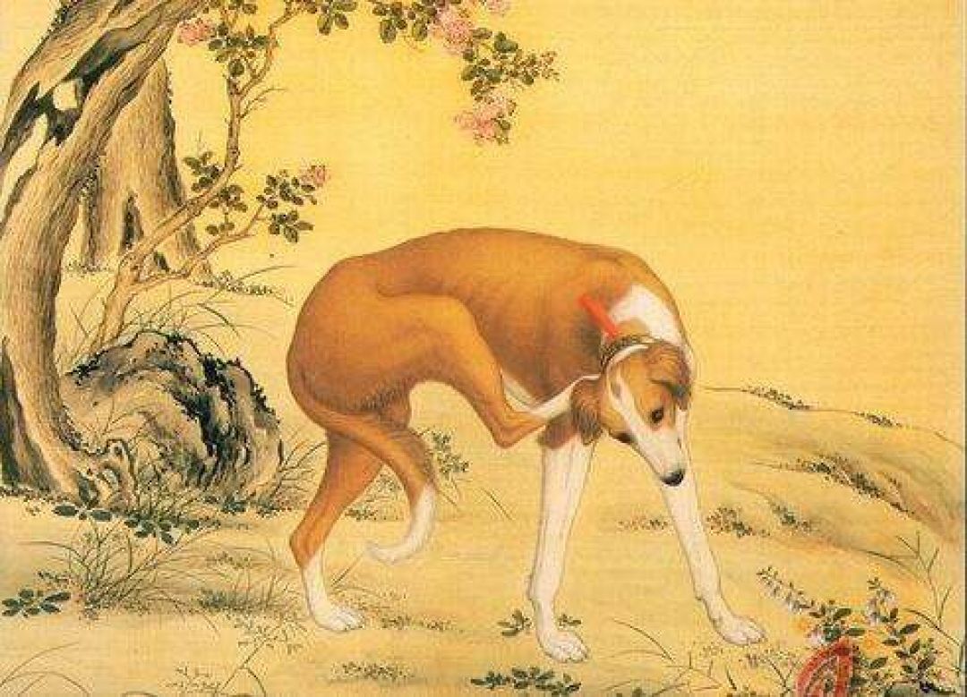 Anjing di Masa China Kuno-Image-3