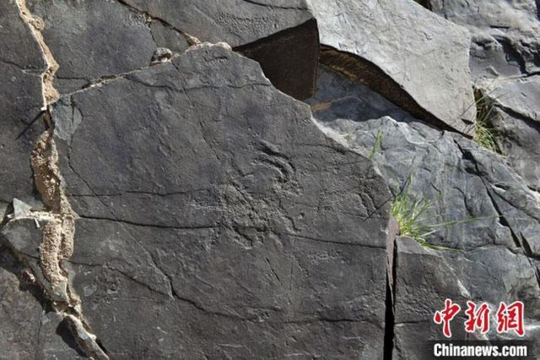 Lukisan Batu 5000 Tahun Lalu Ditemukan di Gansu-Image-1