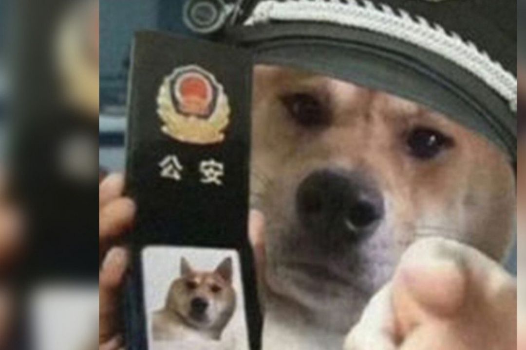 Pria di China Ditahan Pasca Posting Meme Anjing Kenakan Topi
Polisi-Image-1