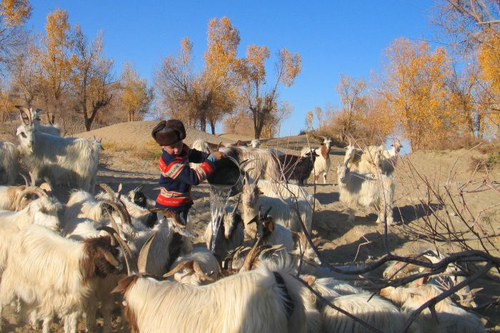 Desa Gurun di Xinjiang China Diubah Jadi Makmur-Image-1