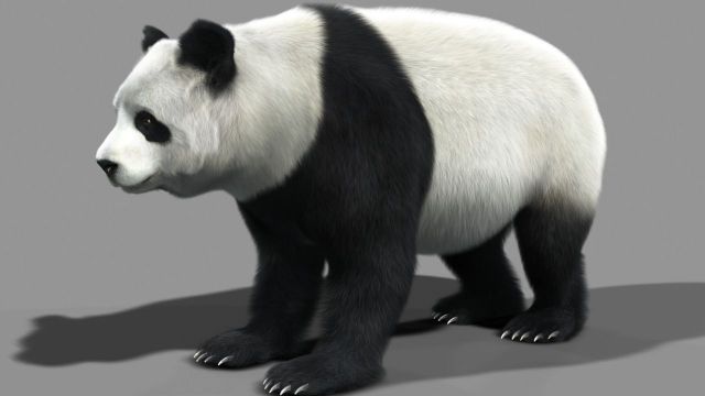 Model Panda Raksasa Dengan Cetakan 3D Dikirim Ke Luar Angkasa-Image-1