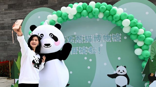 Chengdu Hadirkan Museum Bertemakan Panda Raksasa-Image-1