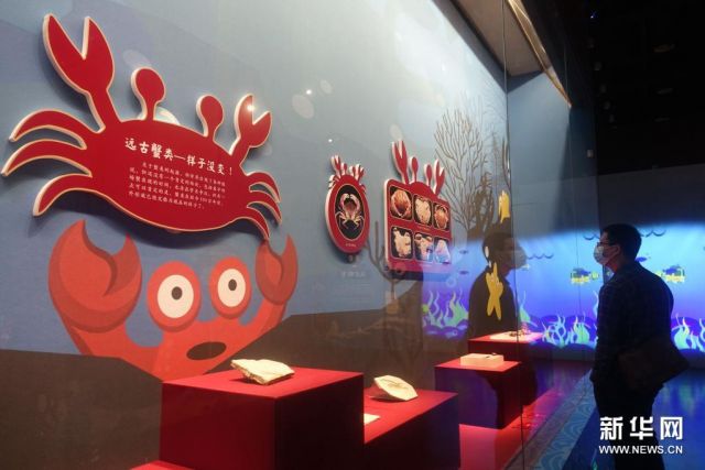 POTRET: Museum Udang dan Kepiting Dibuka di Guangzhou-Image-4