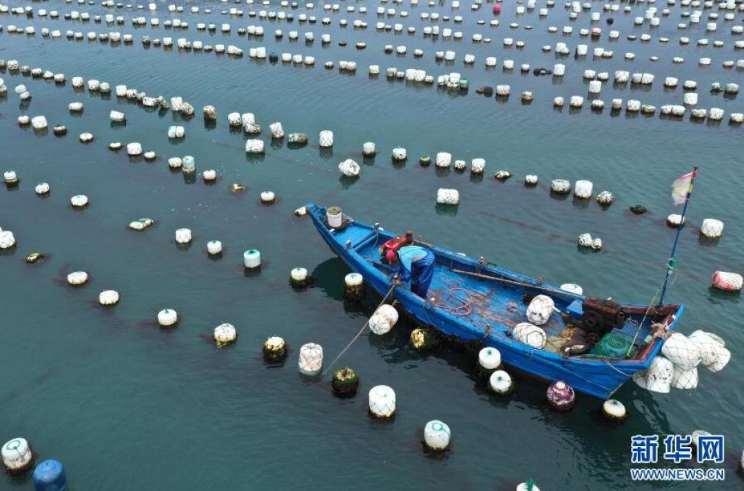 POTRET : Nelayan Kerang di Pulau Gouqi-Image-4