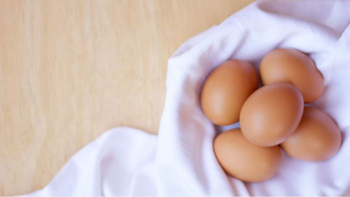 Orang Demam Tidak Bisa Makan Telur? Ini Faktanya!-Image-1