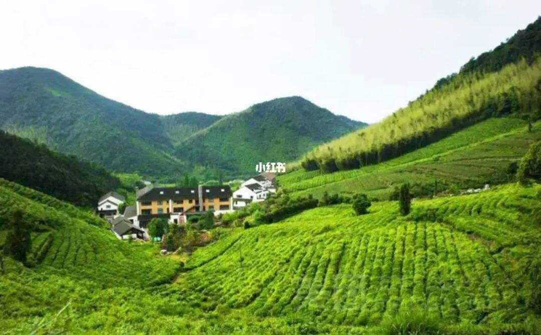 City of The Week: Wisata di Huzhou-Image-3