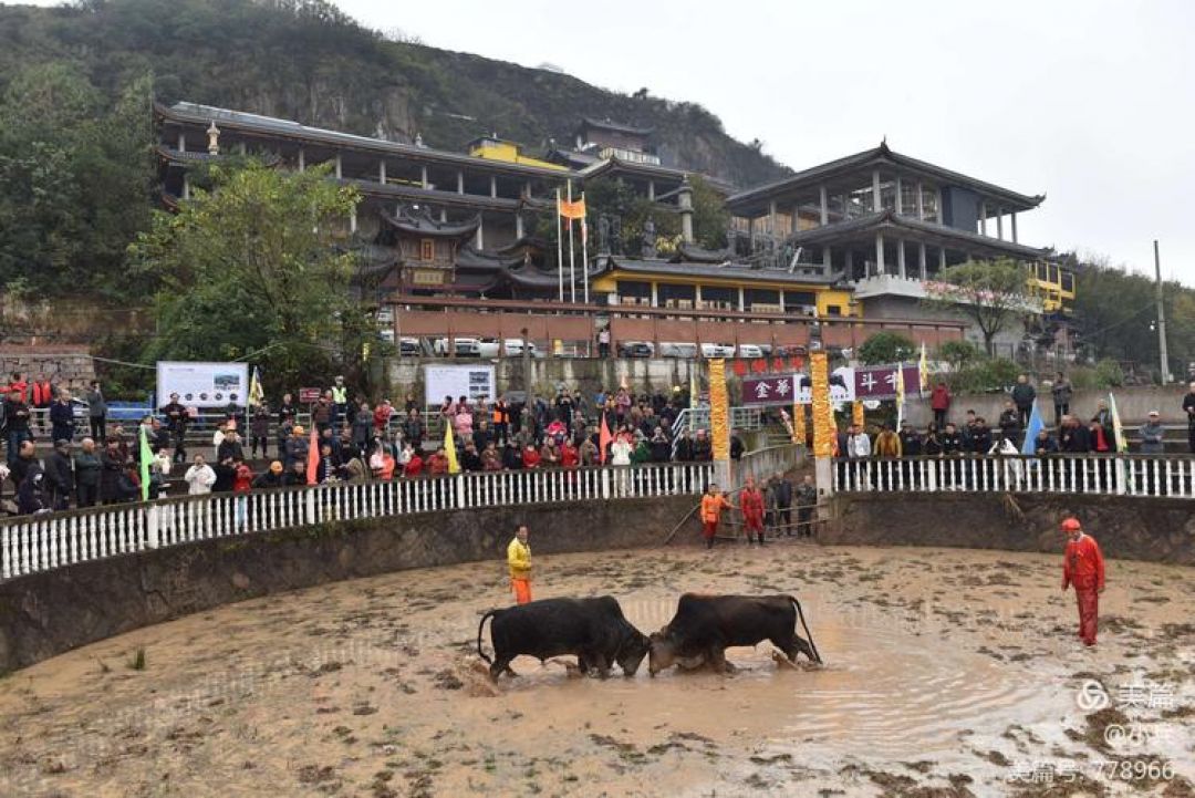 City of The Week: 3 Festival Unik di Jinhua-Image-3