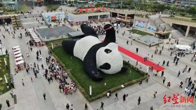 Panda Selfi di Dujiangyan China-Image-1