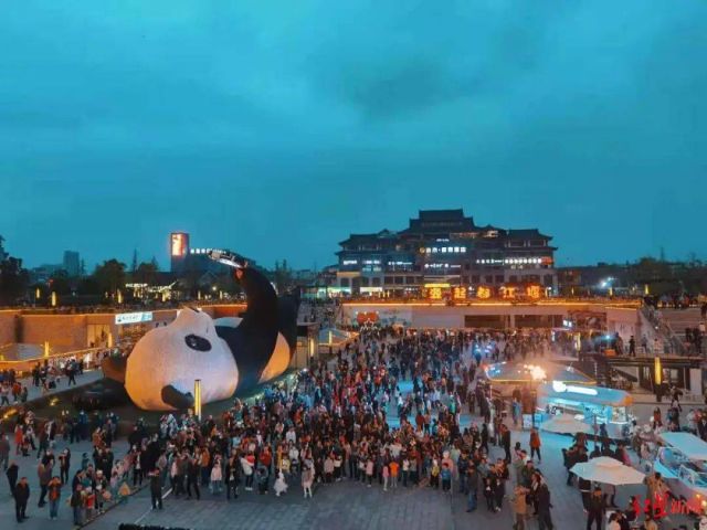 Panda Selfi di Dujiangyan China-Image-3