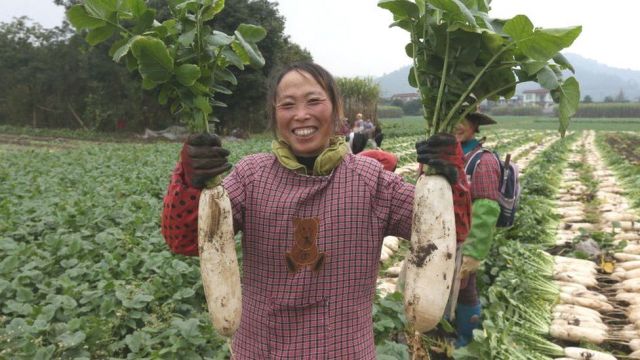 Rahasia China Keluar dari Kemiskinan-Image-3