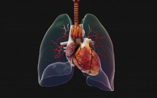 Transplantasi Paru-paru Berhasil, Pasien COVID-19 Ini Akhirnya Selamat!-Image-1
