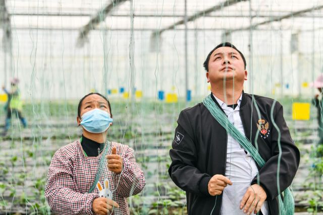 POTRET: Pasangan di China yang Beralih dari Pekerja Migran Menjadi Petani Profesional-Image-1