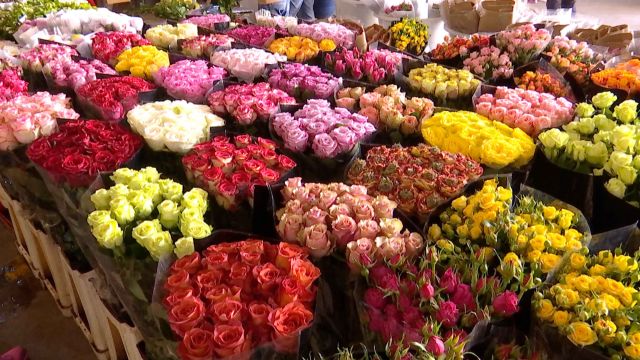 Yunnan Kembangkan Pasar Jalanan Jadi Pasar Bunga-Image-1