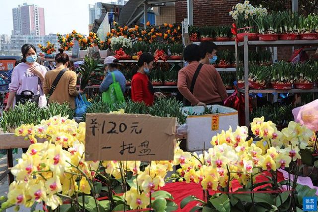 6 Pasar Bunga Terbesar di China-Image-4