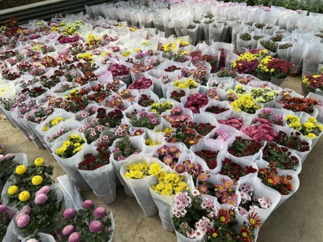 6 Pasar Bunga Terbesar di China-Image-10