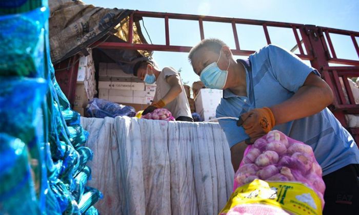 Pasar Petani Urumqi Beroperasi Kembali di Tengah Ketatnya Pencegahan COVID-19-Image-1