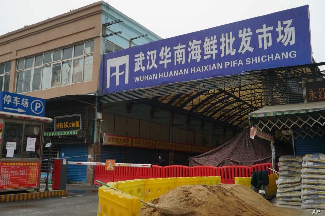 WHO: Pasar Seafood Huanan Bukan Titik Awal COVID-19-Image-1