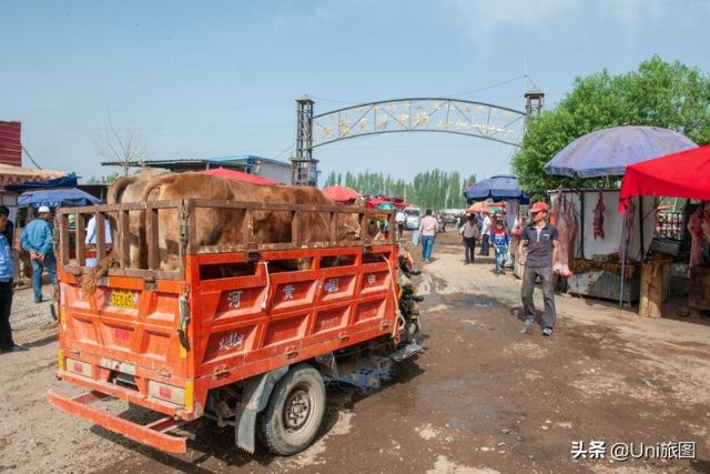 Pasar Sapi dan Domba Gambarkan Kehidupan di Xinjiang-Image-1