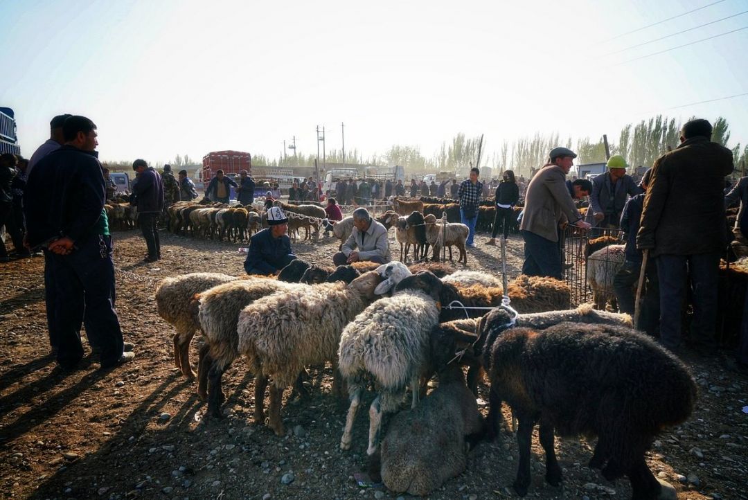 Liburan ke Kashgar, Jangan Lupa ke 4 Tempat Ini-Image-4