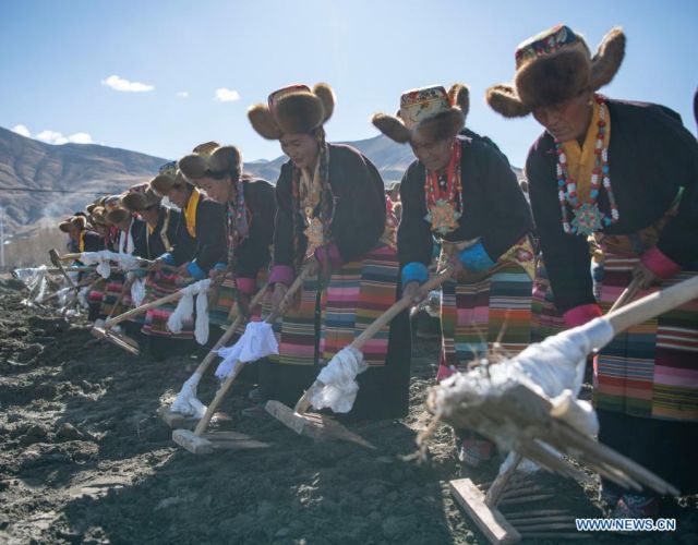 POTRET: Masyarakat Rayakan Upacara Pembajakan Musim Semi di Tibet-Image-3