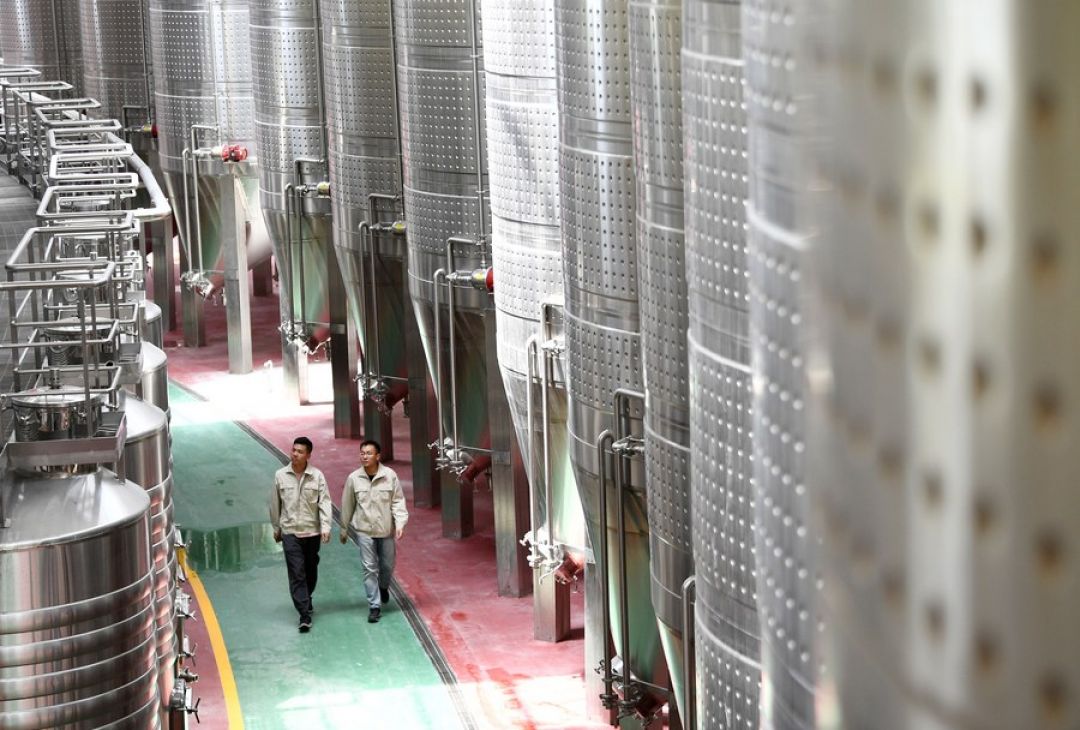 China Kembangkan Anggur Premium di Gurun Gobi-Image-1