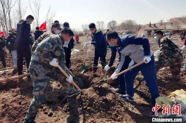 Heilongjiang Selesaikan Aforestasi Seluas 388.000 Hektar dalam 5 Tahun-Image-1