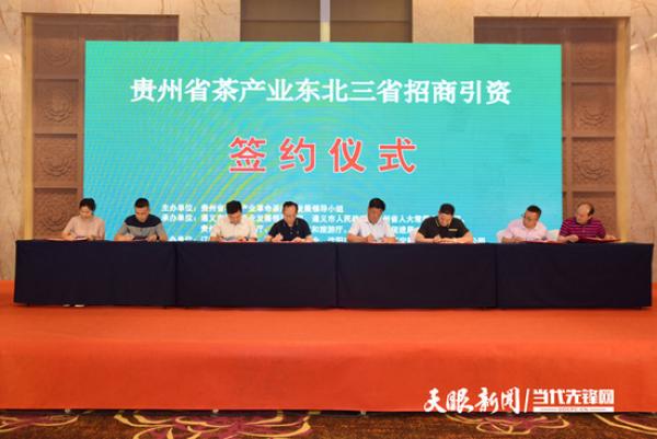 Promosi Investasi Industri Teh Guizhou-Image-1