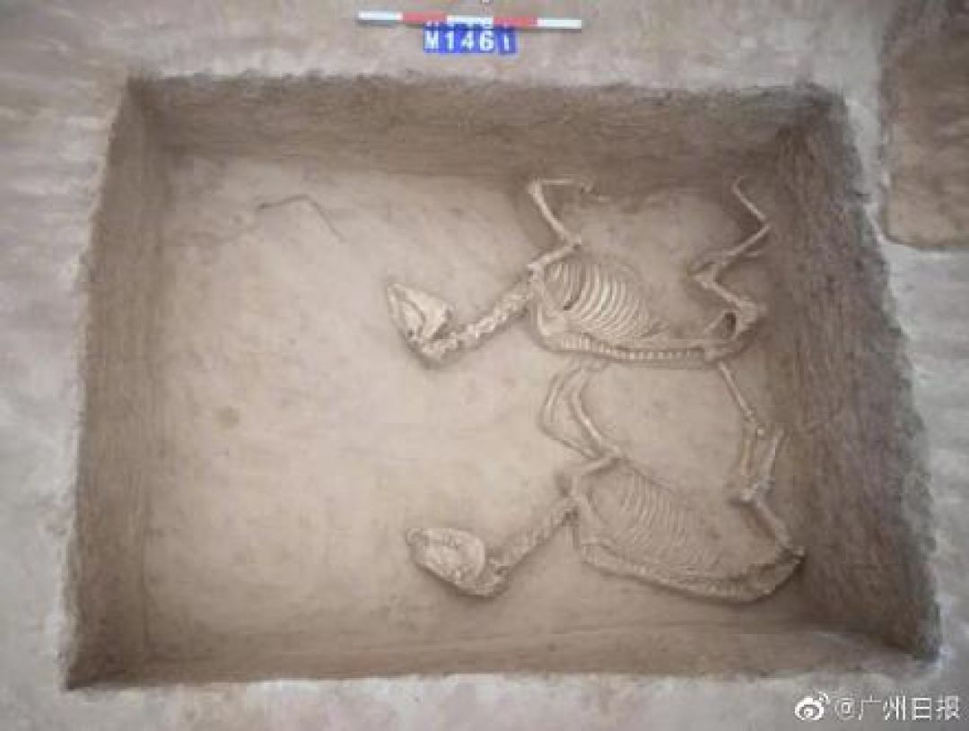 Arkeolog Temukan Lebih Dari 260 Makam Kuno di China Tengah-Image-3
