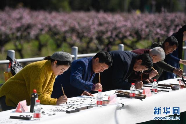 10.000 Hektar Lahan Bunga Taoyuan Tumbuh Subur di Zhejiang-Image-1