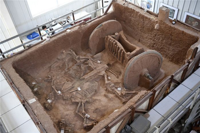 DAHSYAT, Kereta Kuda Berusia 2.800 Tahun di Shaanxi Dipulihkan-Image-1