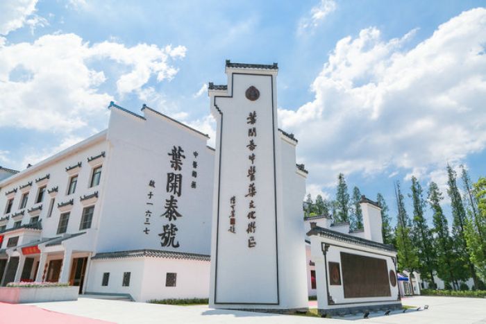 Perjalanan Medis Virtual Hubei dimulai di Seoul-Image-1