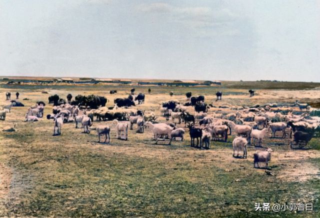 Mongolia Dalam pada Tahun 1926 di Bawah Lensa Kamera-Image-6